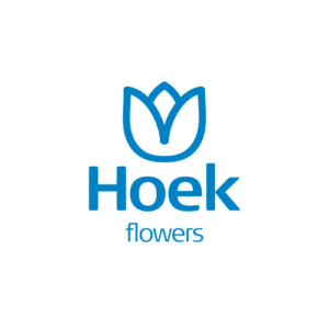 Hoek Logo