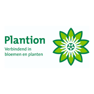 Plantion Logo