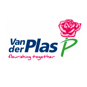 Van der Plas Logo