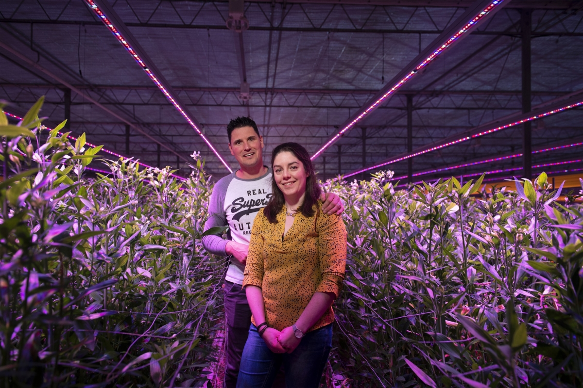 Two people in greenhouse with LED lighting