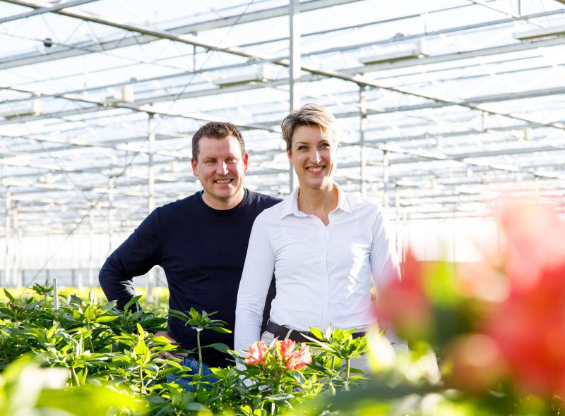 Interview_tesselaar_beeld